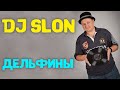 Dj Slon - ВСЕ ДЕЛЬФИНЫ В УРАГАН 