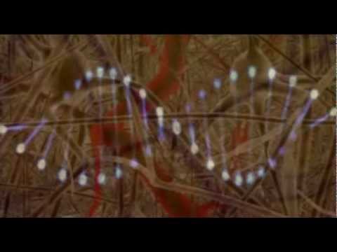 Jah Acid Dub - Psybrain Dub (Psydub Session)