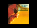 Shaggy - Boombastic (1995)(SSLO9D) 