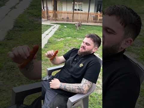 DEVERU SNAJKA UVALILA KOBASICU SA PODA!