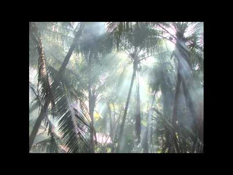 Surinam Control - Soul Flying