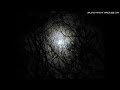 Pet Shop Boys - Vampires (live 1999) 