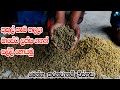 කුකුල් කෑම නිශ්පාදනය කරලා මාසේට ලක්ෂ �