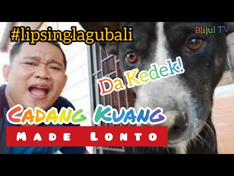 Cadang Kuang - Made Lonto | Lipsing Blijul 😂 dilarang Ketawa
