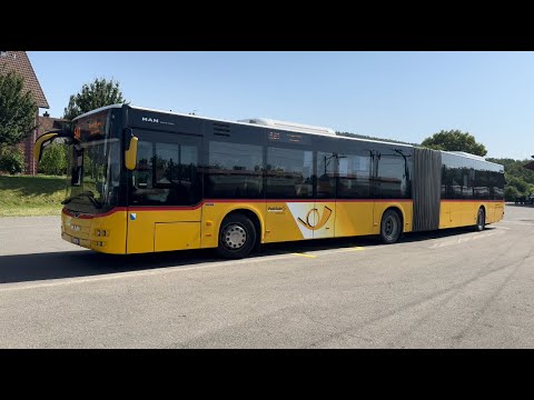 Bahn- und Busverkehr in Zweidlen (19.06.2024)