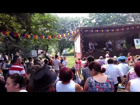 Ziua comunei tibanesti