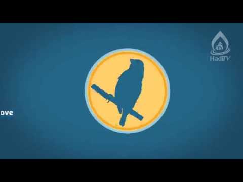 AHKAM in Minutes   Najis Things