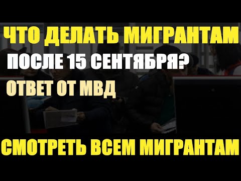 Что Делать Мигрантам После 15 сентября. Точный Ответ. Срочно Смотреть Всем Мигрантам