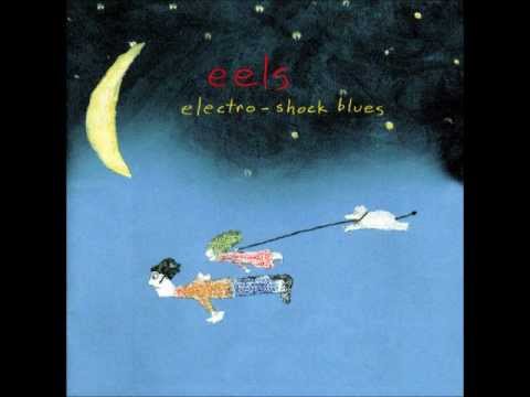 Eels - Hospital Food