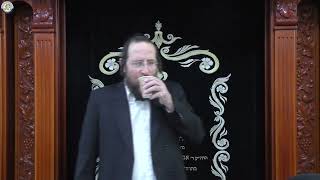 הדף היומי מסכת יבמות דף סה