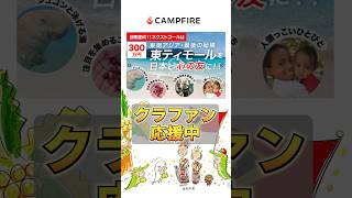 【クラファン】旅の指さし会話帳 東ティモール編　#shorts #timorleste #クラファン