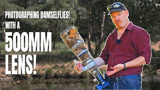 Photographing Damselflies with a 500mm Lens!