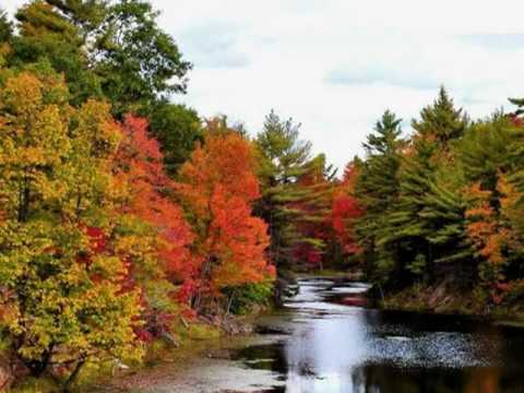 My Choice 496 - Beethoven: Symphony No. 6 (Pastoral) 3rd & 4th Movements