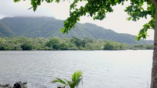 Living Shorelines of American Samoa S12 E1 (trailer)