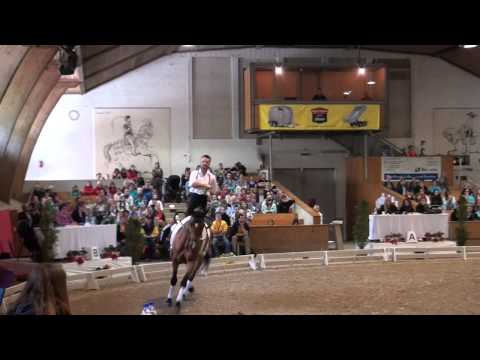 CVI Bern 2015 - Lukas Klouda CZE (CVI3*)