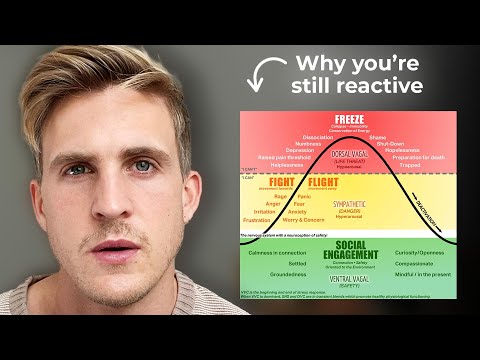 Serious Meditators Are In (Constant) Fight/Flight/Freeze