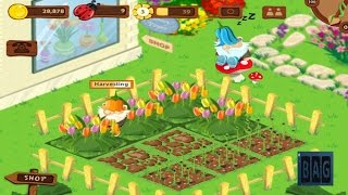 Flower Farm (Flowerama) videosu