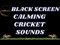 Calm Night: Relaxing Cricket Sounds for Sleep - Black Screen Ambience