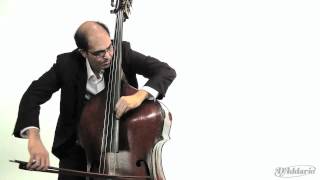 D'Addario Zyex 3/4 Bass Strings