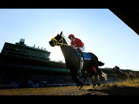 Spike in horse fatalities at Santa Anita Park casts shadow over racing industry