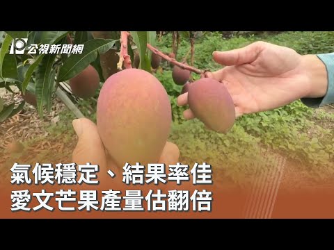 youtube影片