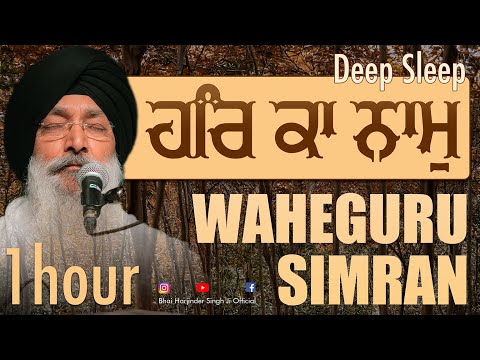 1 Hour Deep Sleep Har ka Naam | Waheguru Simran | Bhai Harjinder Singh Ji Srinagar Wale