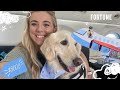 We Tried an $8,000 Flight for Dogs
