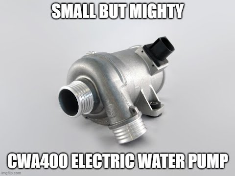 $100 BMW Electric Water Pump and Controlling it with the Holley Term X