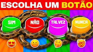 SIM, NÃO, TALVEZ OU NUNCA? 😳🔥 | ESCOLHA UM BOTÃO