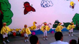 La gallina josefina le gusta bailar el twist