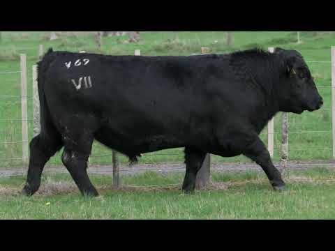 Lot 5  SEVEN HILLS V69 PV