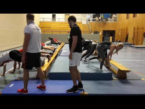 Liegestützkreisel 02