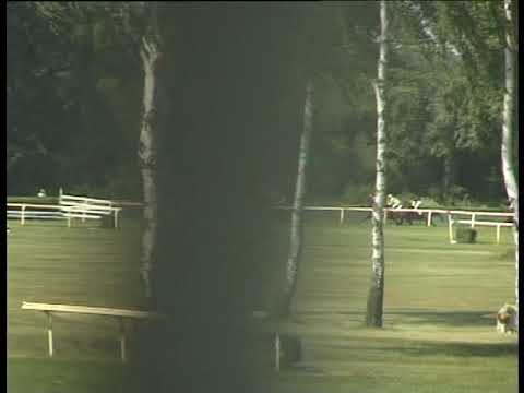 LL, 6. 7. 2019, 4. dostih - HANDICAP SPOLEČNOSTI ALFEX dostih amatérů