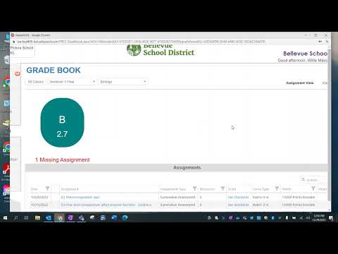 Understanding Studentvue