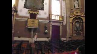 preview picture of video 'Santo Ildefonso   Igreja em Porto Portugal'