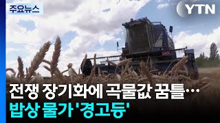 이란 전쟁 장기화에 곡물값 꿈틀...밥상 물가 '경고등' / YTN