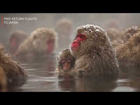 Wendy Wu em 2022 com Barrhead Travel