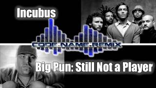 Incubus Remixes Big Pun- Still Not a Player |CodeNameRemix|