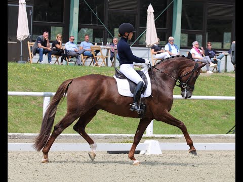 LIFE TIME & Charlott Maria Schürmann - 2. WM-Sichtung 2023