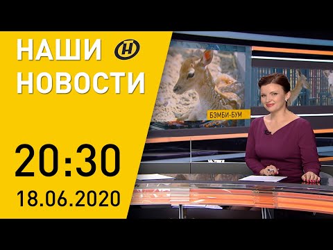 Наши новости ОНТ: Лукашенко о нарушениях и штафах в Беларуси; помощь врачам; беби-бум в зоопарке