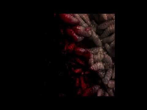 17. SWARM - CARNAL [25.12.2018]