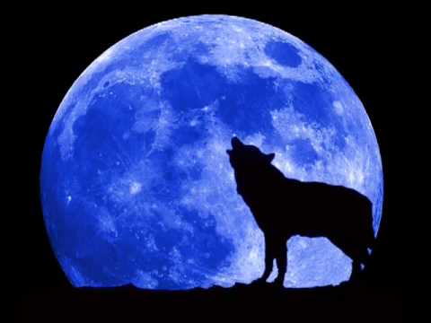 Trance Allstars - Moonlight Shadow Remix