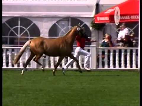 St.Pr.St. Greatest Hit v. FS Golden Highlight - 2010