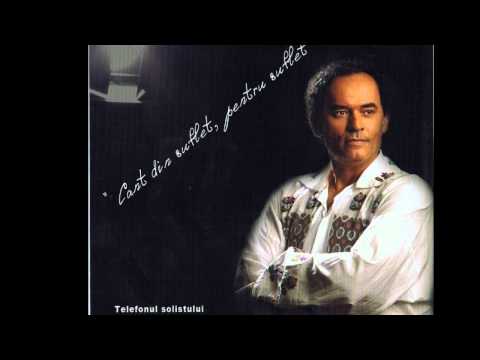 ION BRANDUSOIU   LUME DACA PLEC DIN TINE