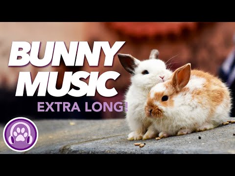 EXTRA LONG Relaxing Music for Rabbits - Soothing Bunny Beats