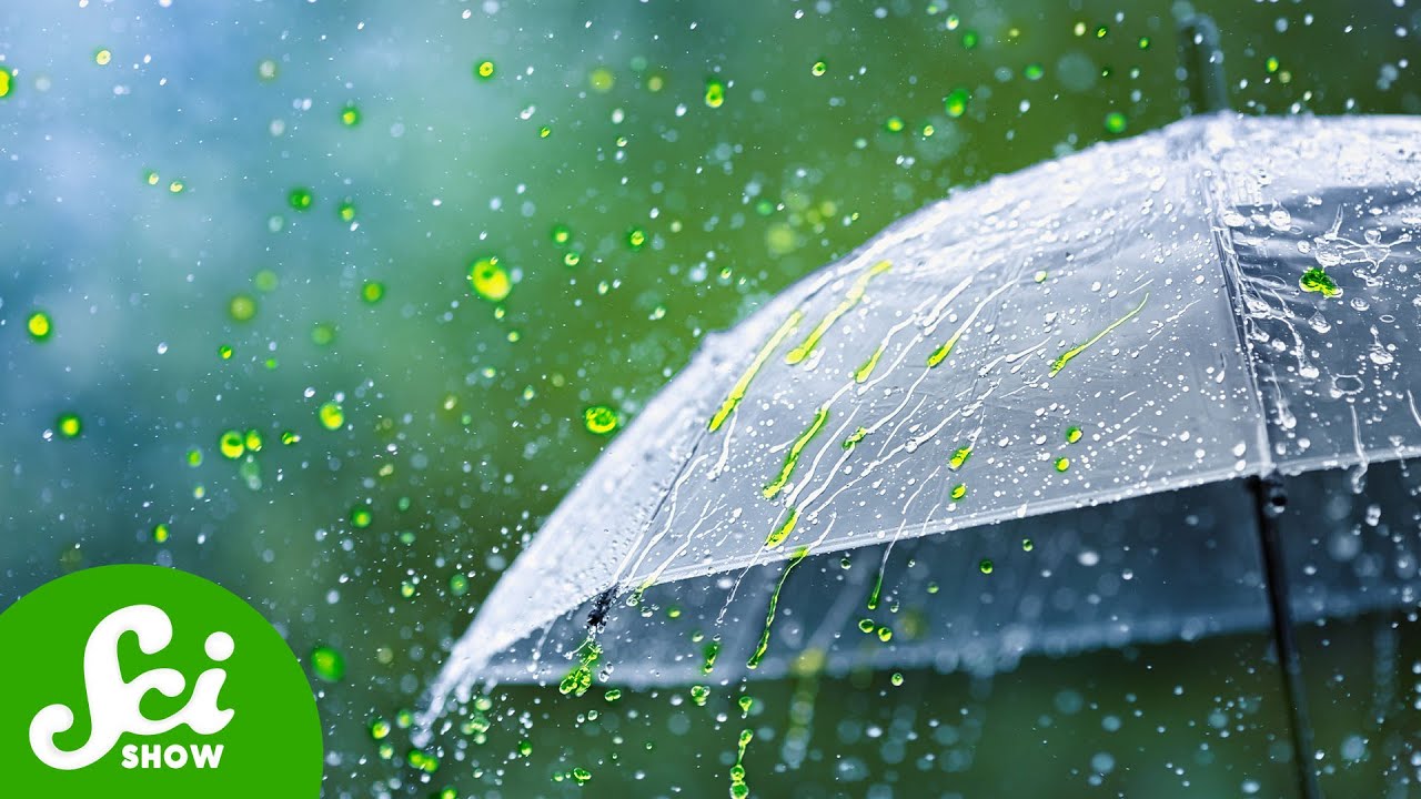 Why Don't We Talk About Acid Rain Anymore?