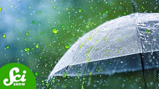 Why Don't We Talk About Acid Rain Anymore?