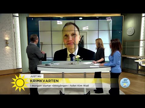 Kim Walls advokat: "I morgon kommer vi att få Peter Madsens förklaring" - Nyhetsmorgon (TV