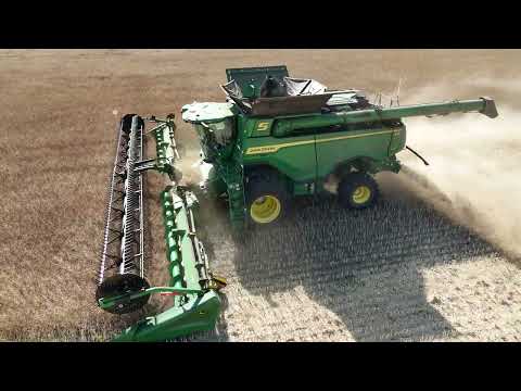 Leask, SK - Harvesting Canola
