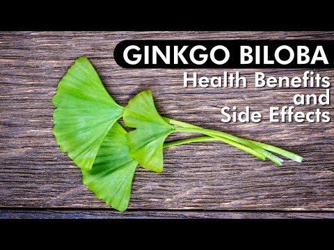 Ginkgo biloba tablet, packaging size: 1x10
